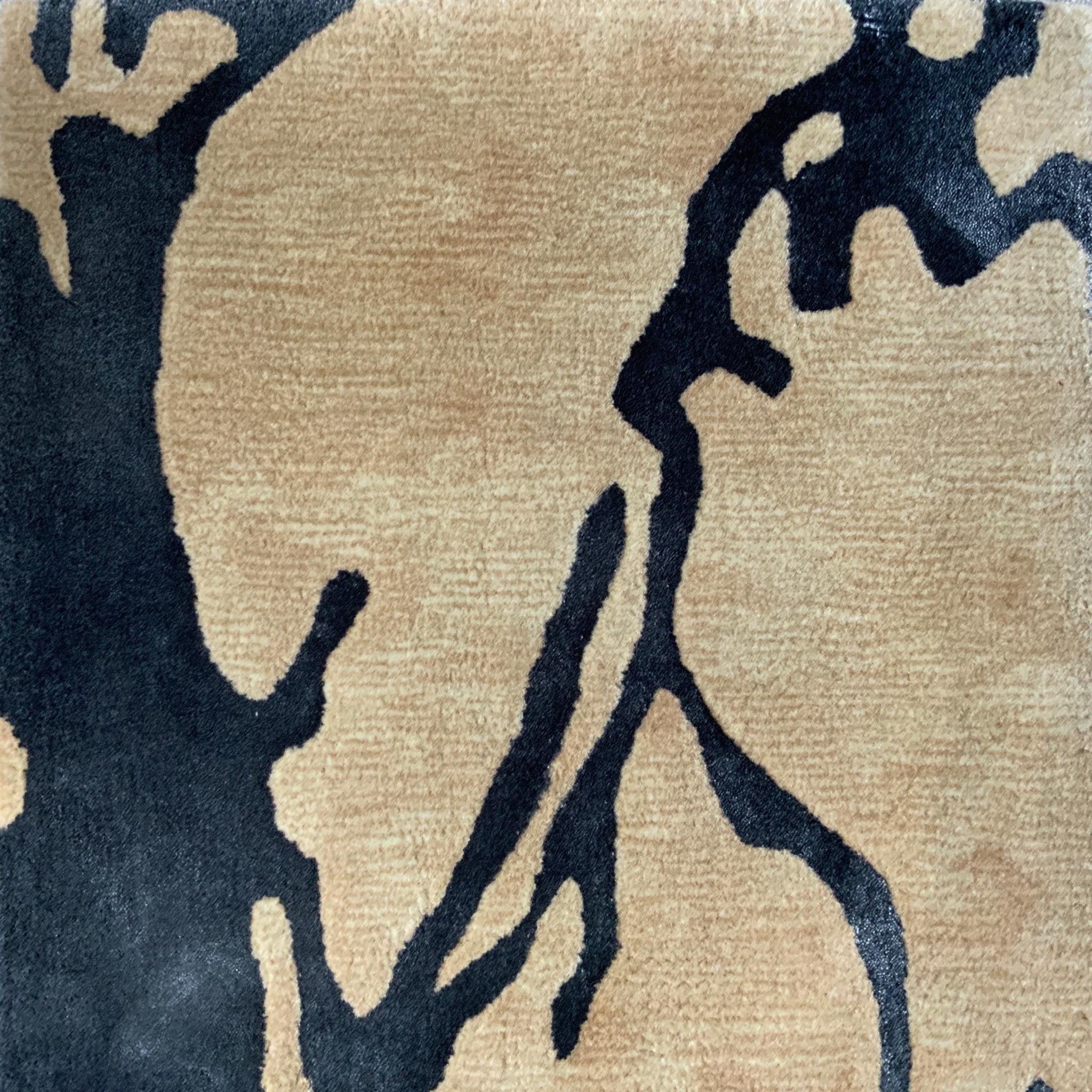 BUCKTHORN 001