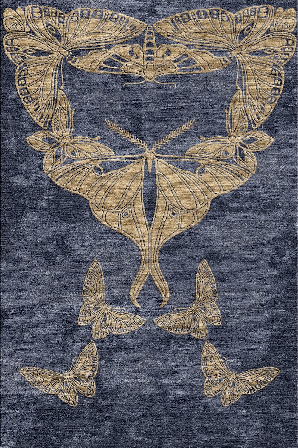 Moths & Butterflies