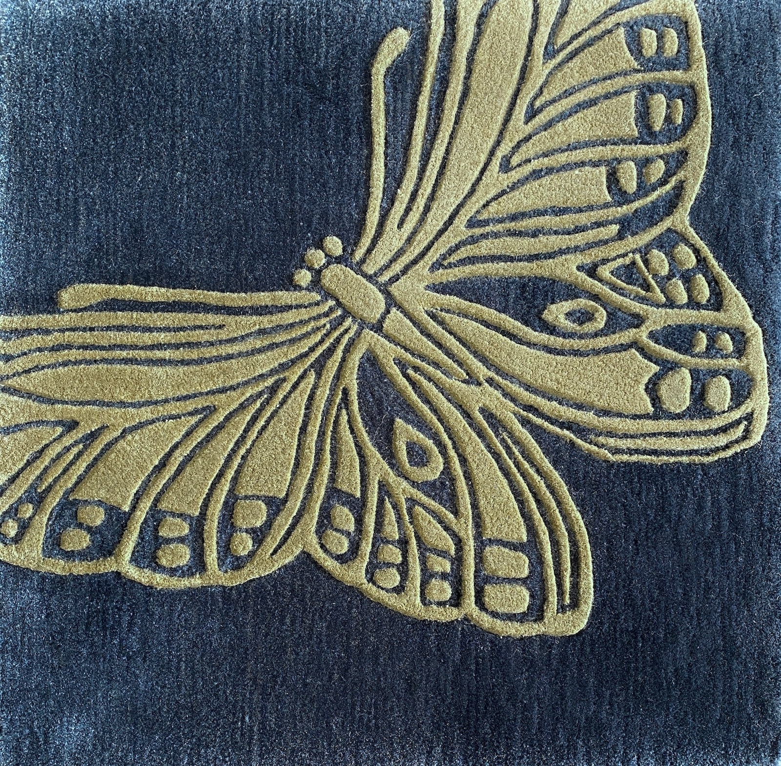 Moths and Butterflies